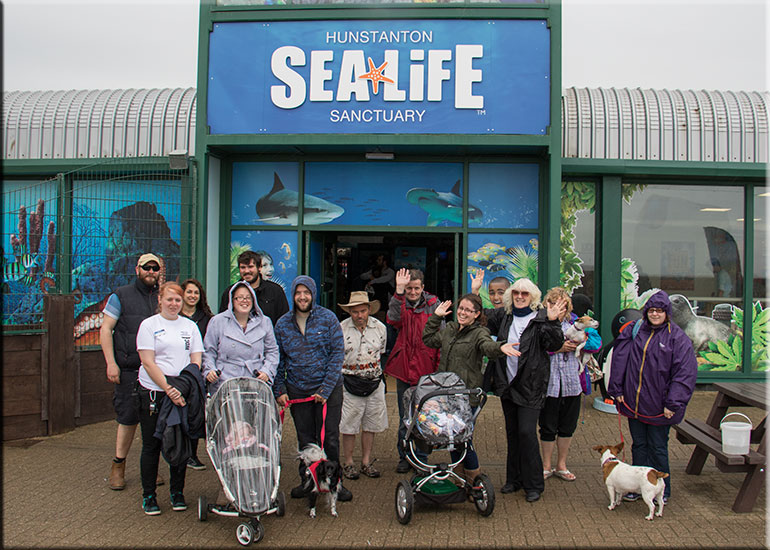 Walk for Whales - 28th June 2015