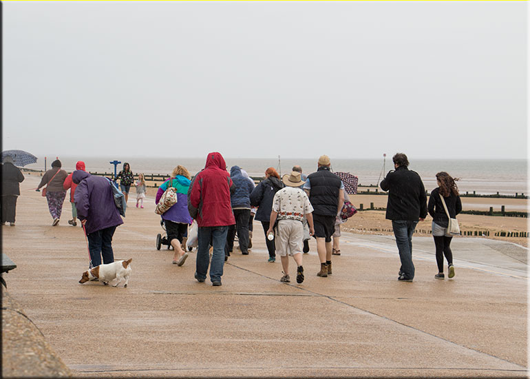 Walk for Whales - 28th June 2015