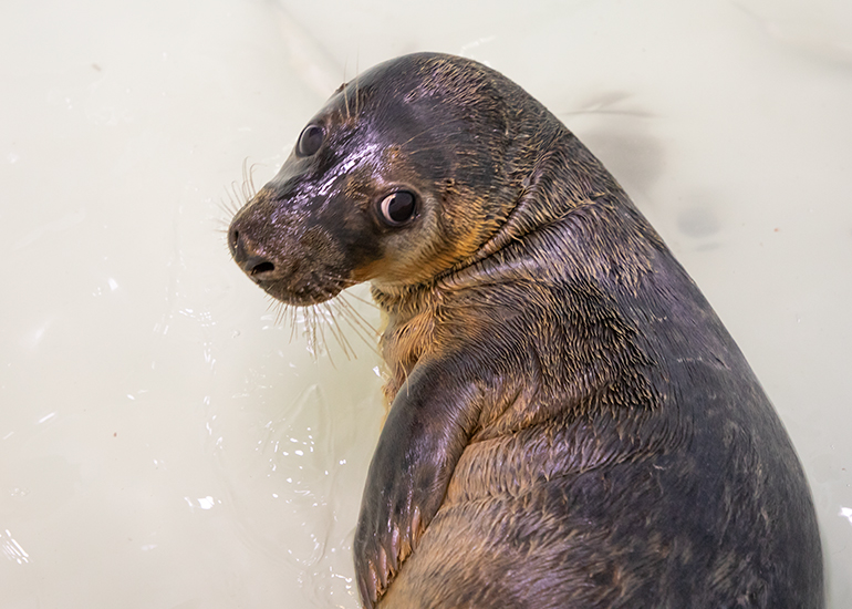 Wilson - photo taken on 26th May 2019
