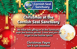 Christmas Fayre - 14th and 15th December 2019