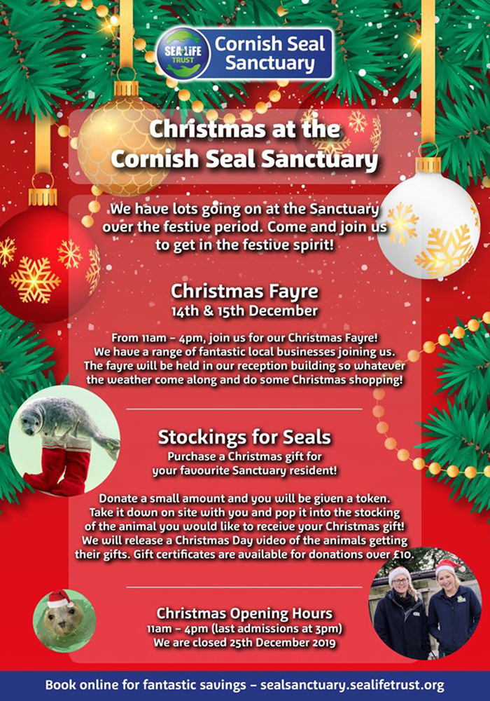Christmas Fayre 2019