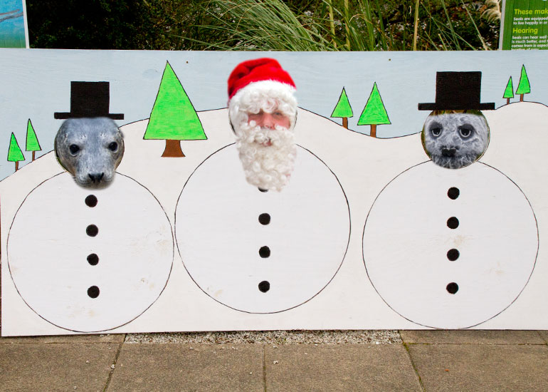 Christmas Fayre 2013