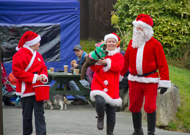 Christmas Fayre 2013