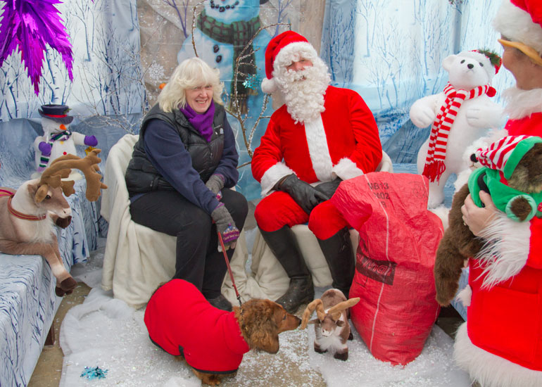 Christmas Fayre 2013