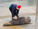 Christmas Fayre 2013