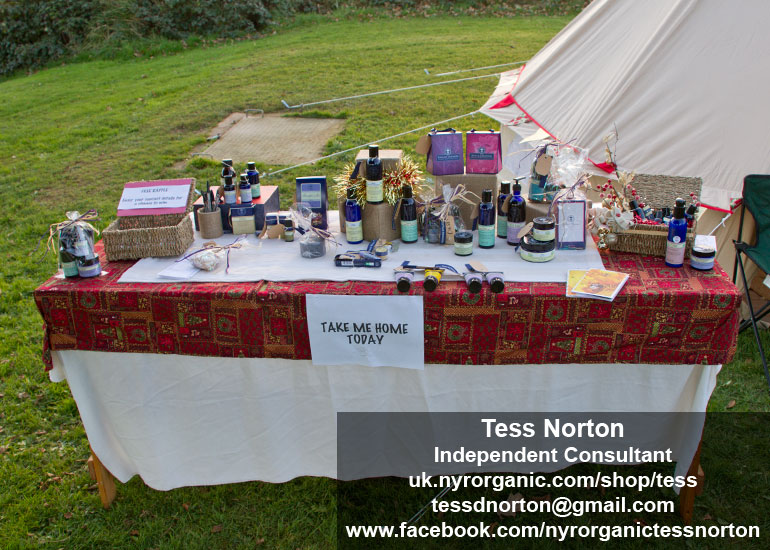 Christmas Fayre 2013