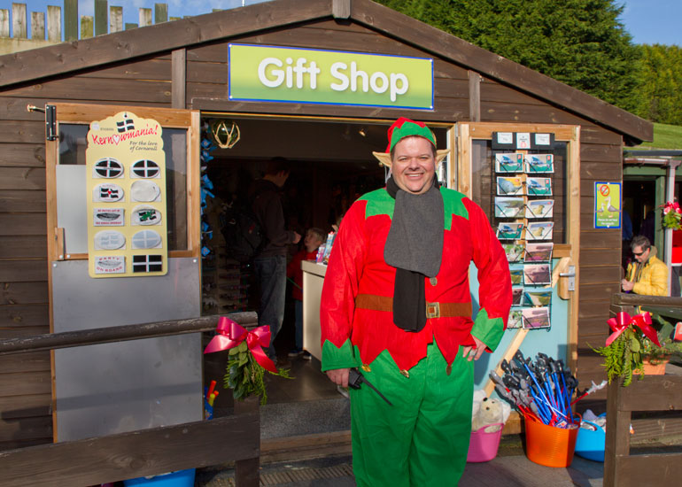 Christmas Fayre 2013