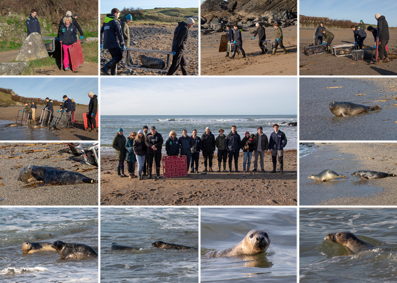 Seal Release - 14th February 2026