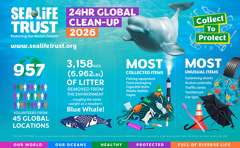 What an incredible 24 Hour Global SEA LIFE TRUST Clean-Up