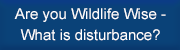 Are you Wildlife Wise - What is disturbance?