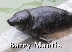 Barry