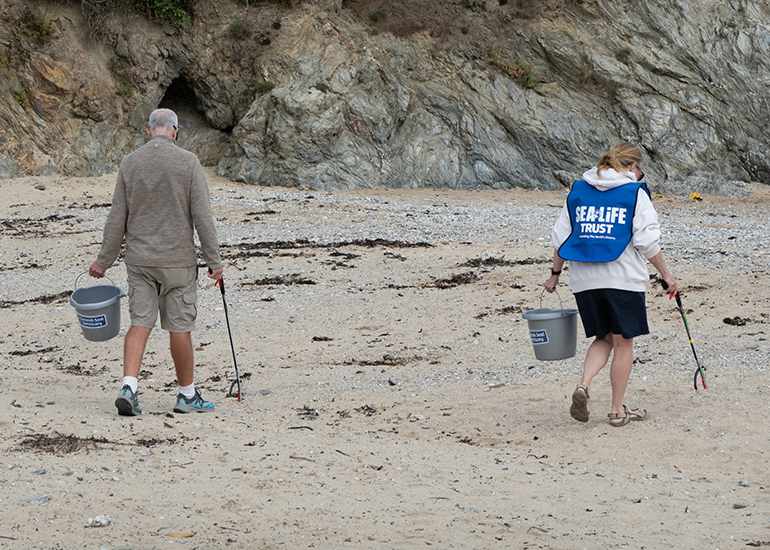 Beach Clean at Maenporth Beach