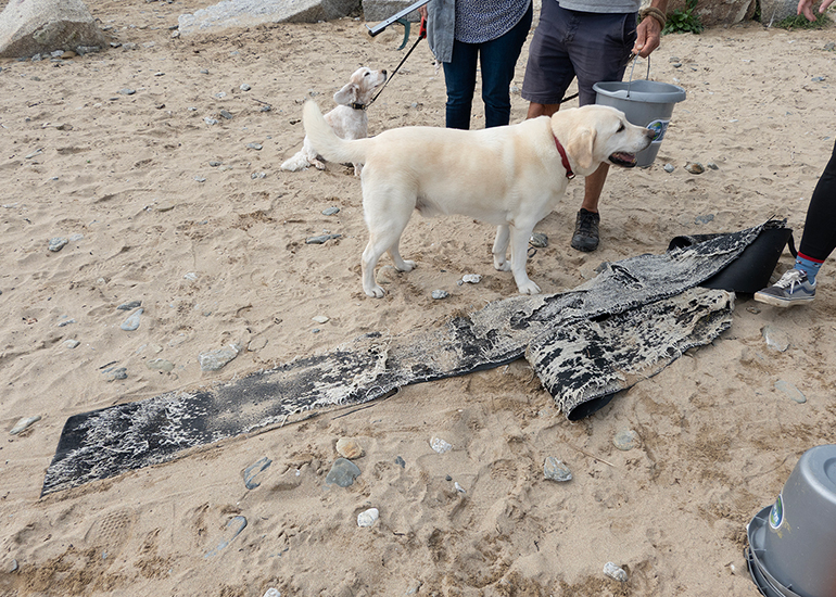 Beach Clean at Maenporth Beach