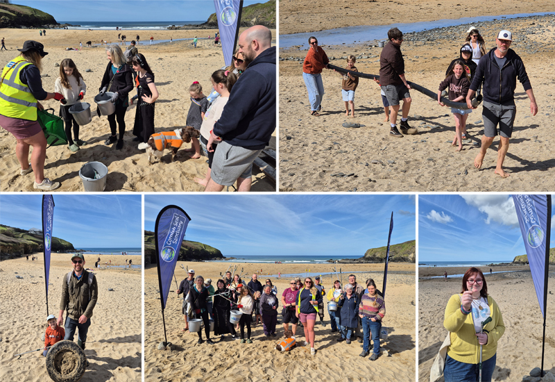 Shark Trust Great Egg Case Hunt and Beach Clean