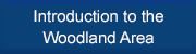 Introduction to the Woodland Area