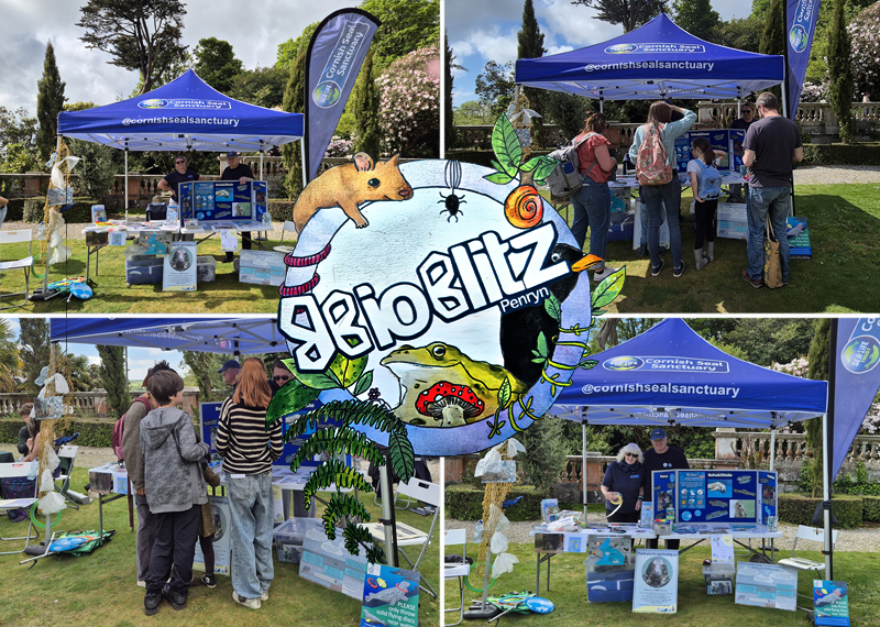 Bioblitz Event - 4th May 2026 - Penryn University Campus - Falmouth