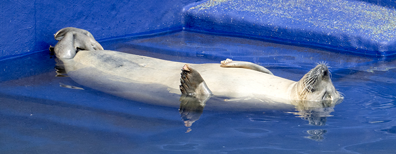 Quiet Time at the Aquarium!