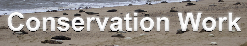 Conservation Work
