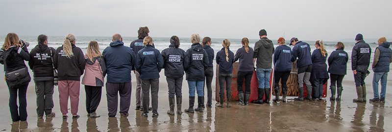 Seal release - 5th March 2026