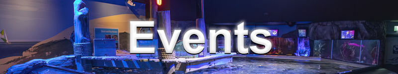 Events banner