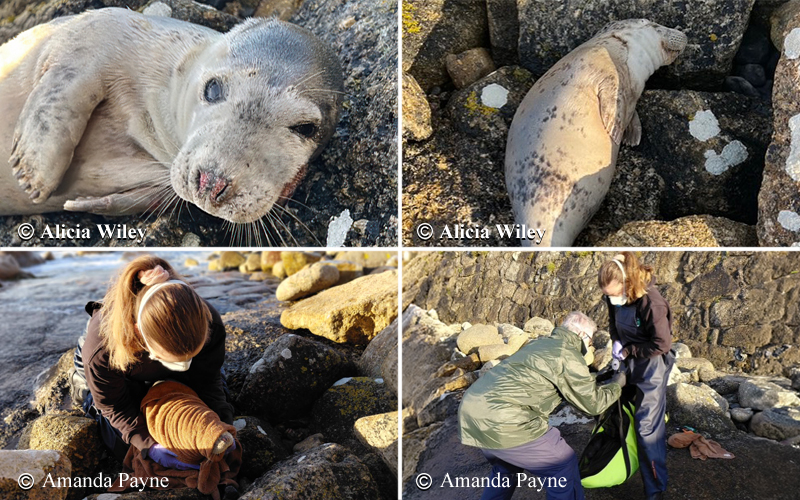 Gelato - Photo Credit : Photos Credits : Alicia Wiley and Amanda Payne