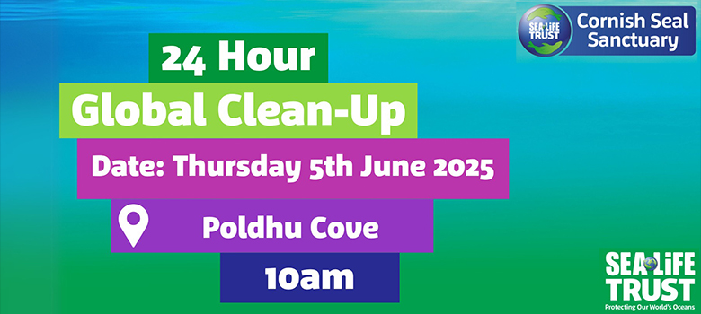 Sea Life Global Beach Clean day - 5th June 2025