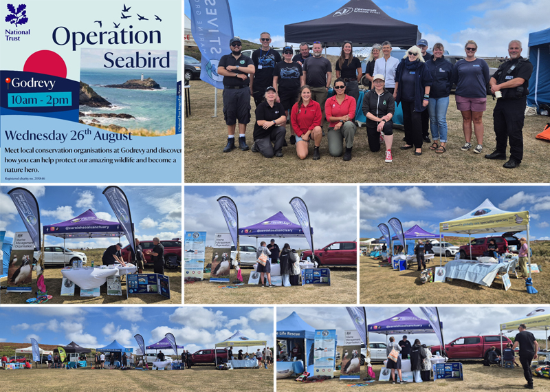 Godrevy event - 26th August 2026
