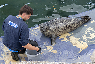 Ben with Bo - Cornish Seal Sanctuary
