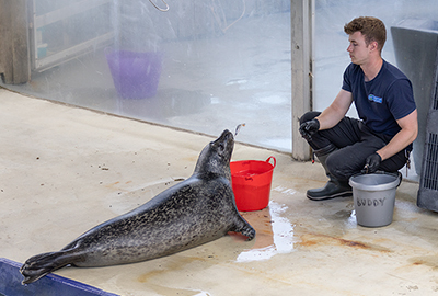 Isaac with Buddy - Cornish Seal Sanctuary