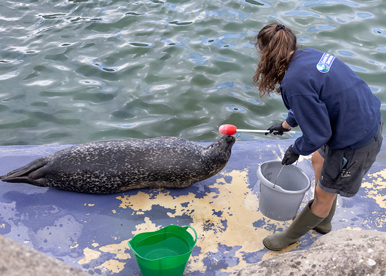 Jarvis with Megan - Cornish Seal Sanctuary