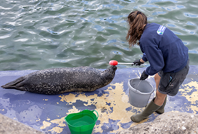Jarvis with Megan - Cornish Seal Sanctuary