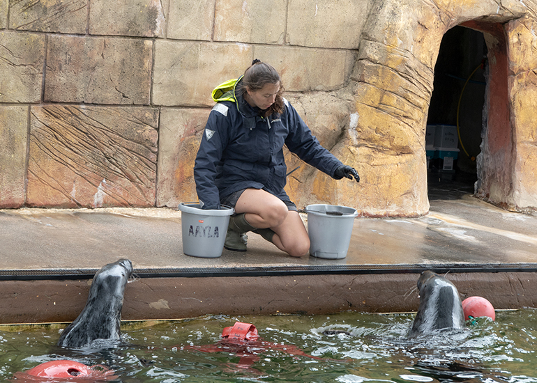 Aayla and Pumpkin - Cornish Seal Sanctuary