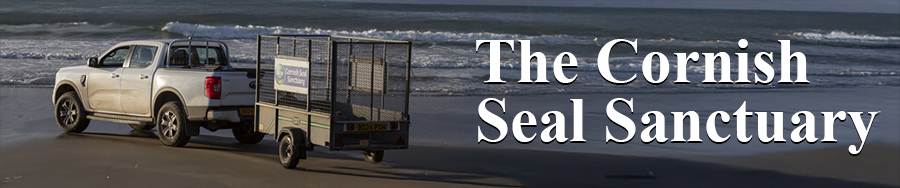 [Cornish Seal Sanctuary]