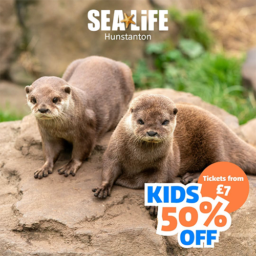 HALF-PRICE FUN FOR LITTLE EXPLORERS!