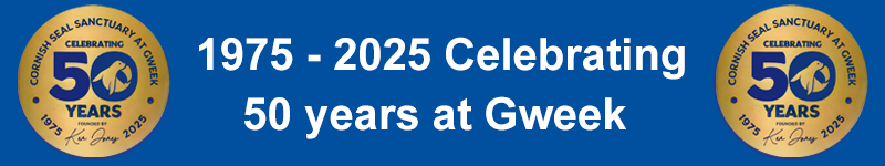 Some of the highlights over the past 50 years at Gweek