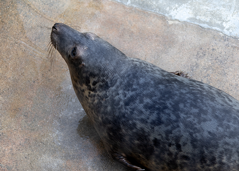 Jelly - 28th January 2026