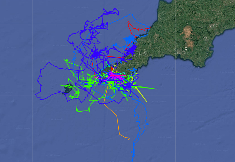 JP - GPS map