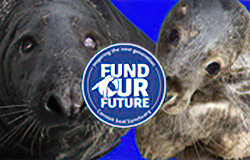 Fund Our Future!