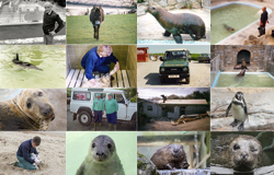 Look back over 50 years at Gweek