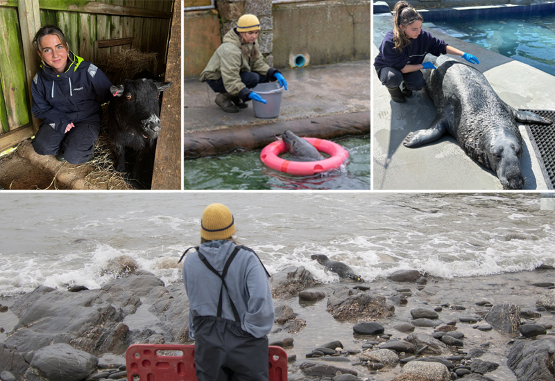 Volunteer Spotlight : Meet Tabby