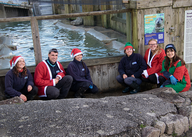 This is what the staff will be doing on Christmas day!