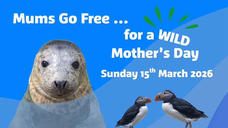 Mums go FREE...for a Wild Mother's Day!
