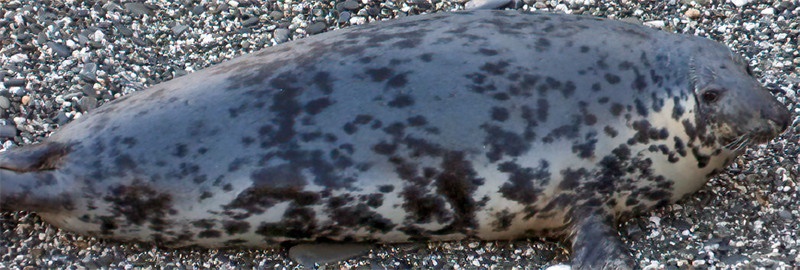 Nampara - Photo Credit Sue Sayer MBE, Kate Hockley