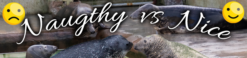 Naughty vs Nice resident of the month