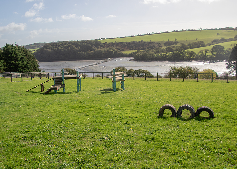New Paddock adventure