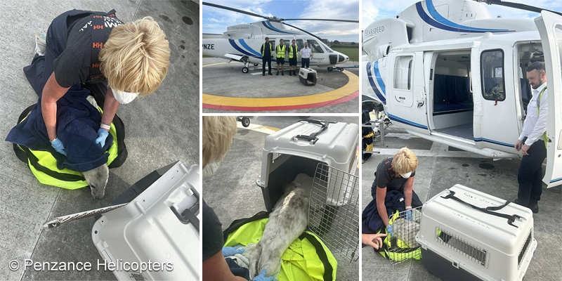 Photo Credit - Penzance Helicopters