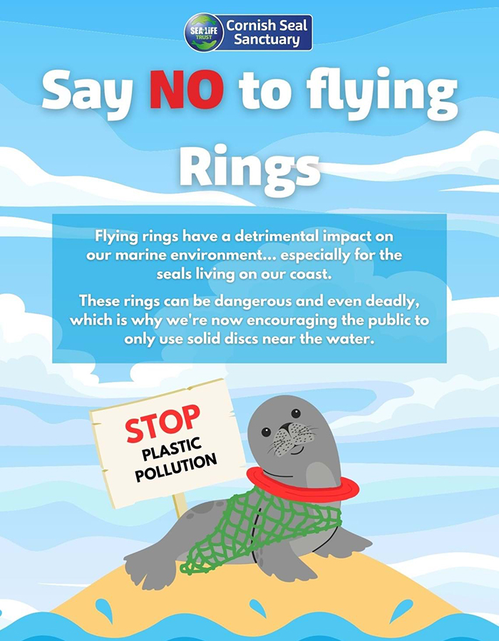 Say no to flying rings poster