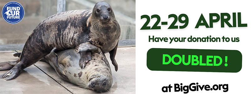Race to fundraise for a Brighter Future!