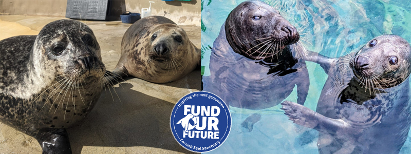 Race to fundraise for a Brighter Future!