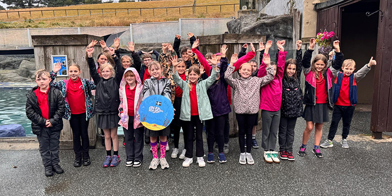 From Crayons to Conservation: Young Artists make their mark at the Cornish Seal Sanctuary
